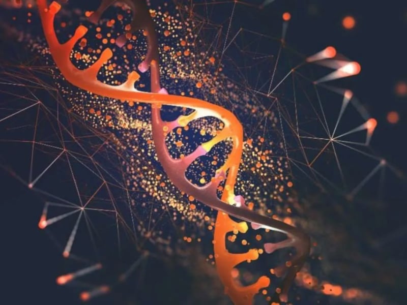 genetics and genomics